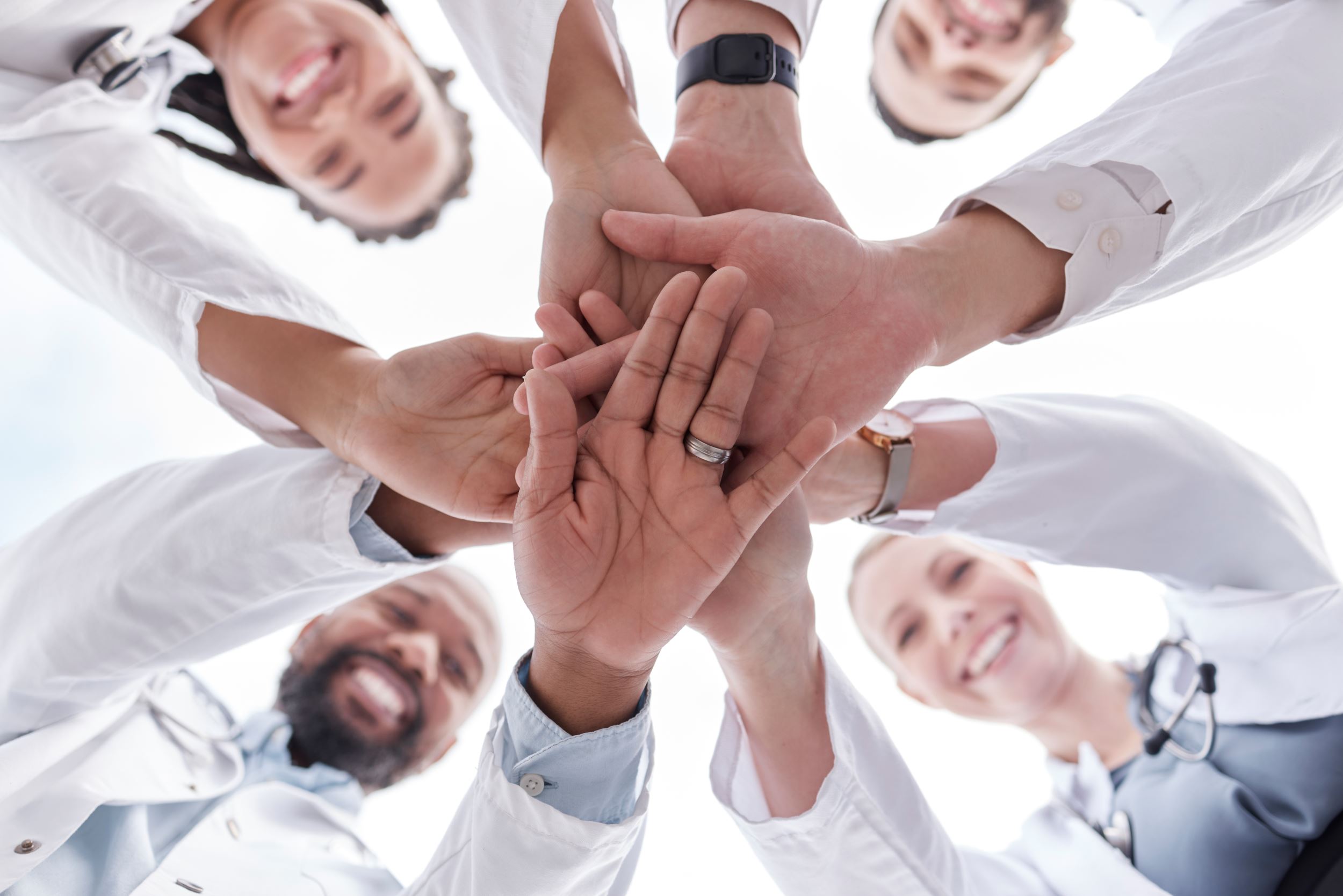 Group of team members cheering.